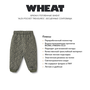 Брюки утепленные Wheat "Alex Pocket Treasures", бесценные сокровища